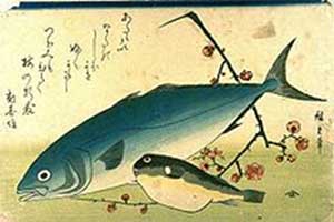 フグとブリを描いた歌川広重の浮世絵（Wikipediaより）